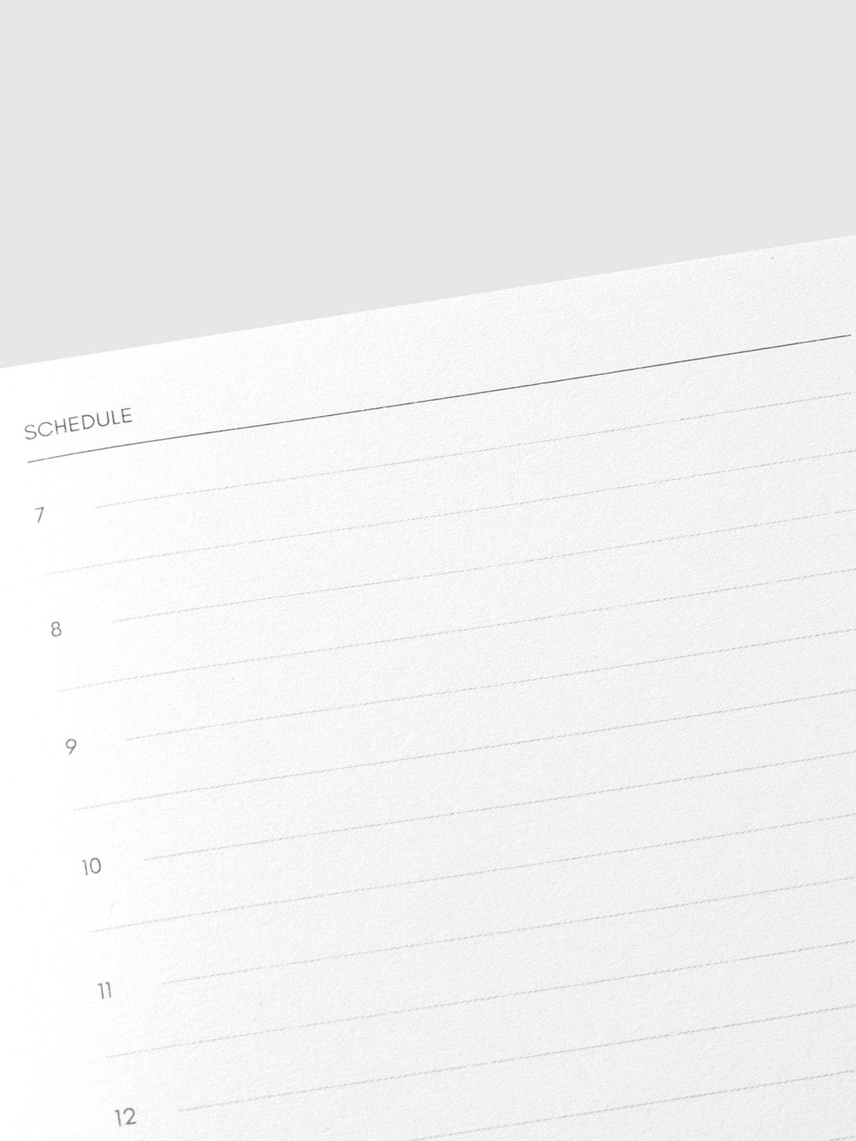 Travel Notebook | Pocket Plus: Daily Lined | Verona