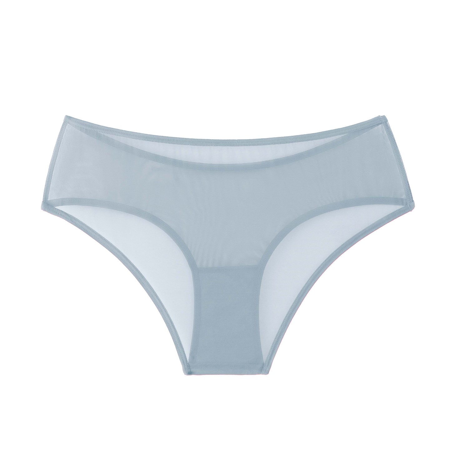 5 Color Sheer Mesh Hipster: Medium Nude / M