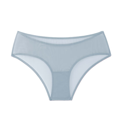 5 Color Sheer Mesh Hipster: Medium Nude