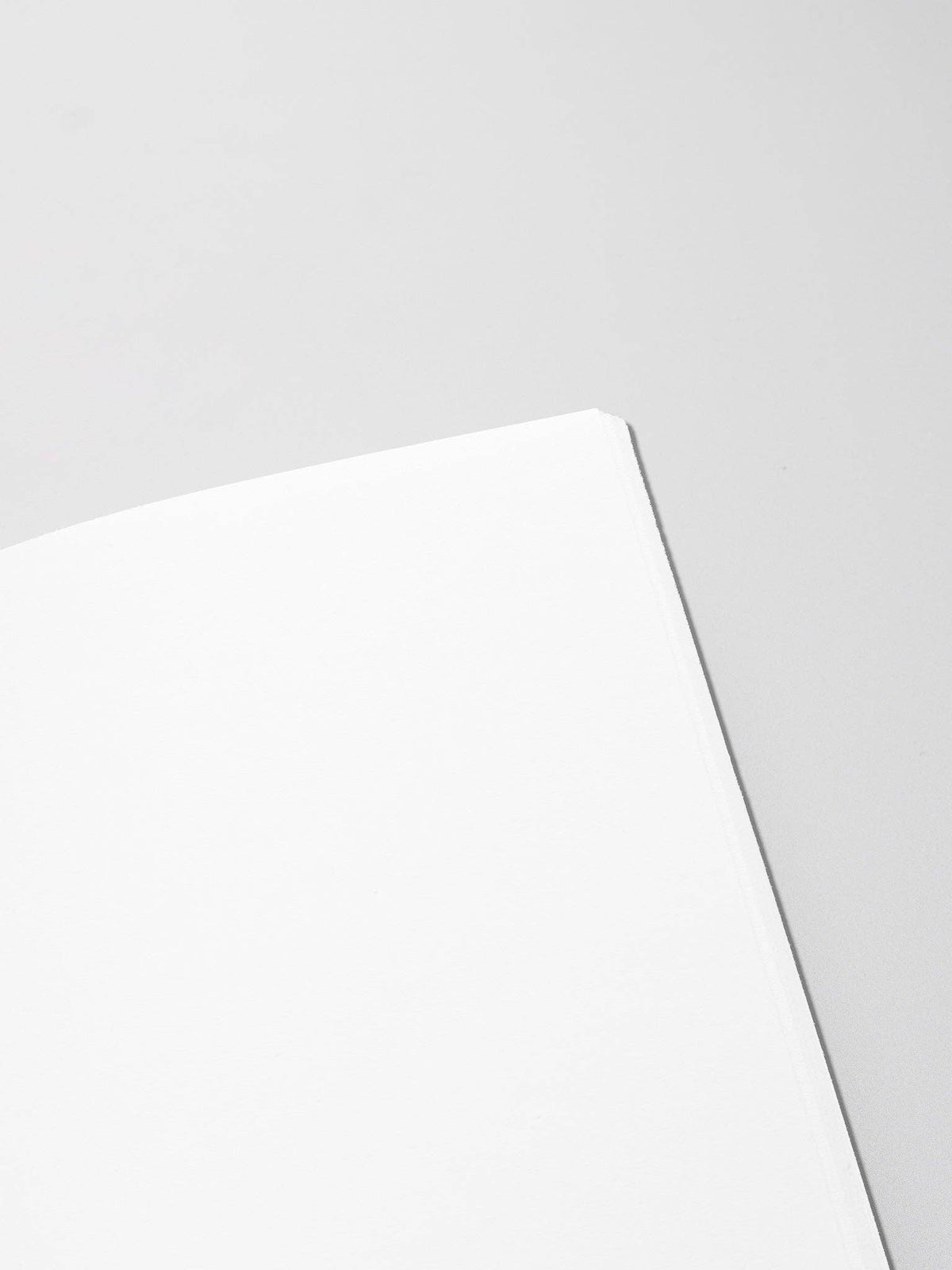 Travel Notebook | Pocket Plus: Daily Agenda | Aspen