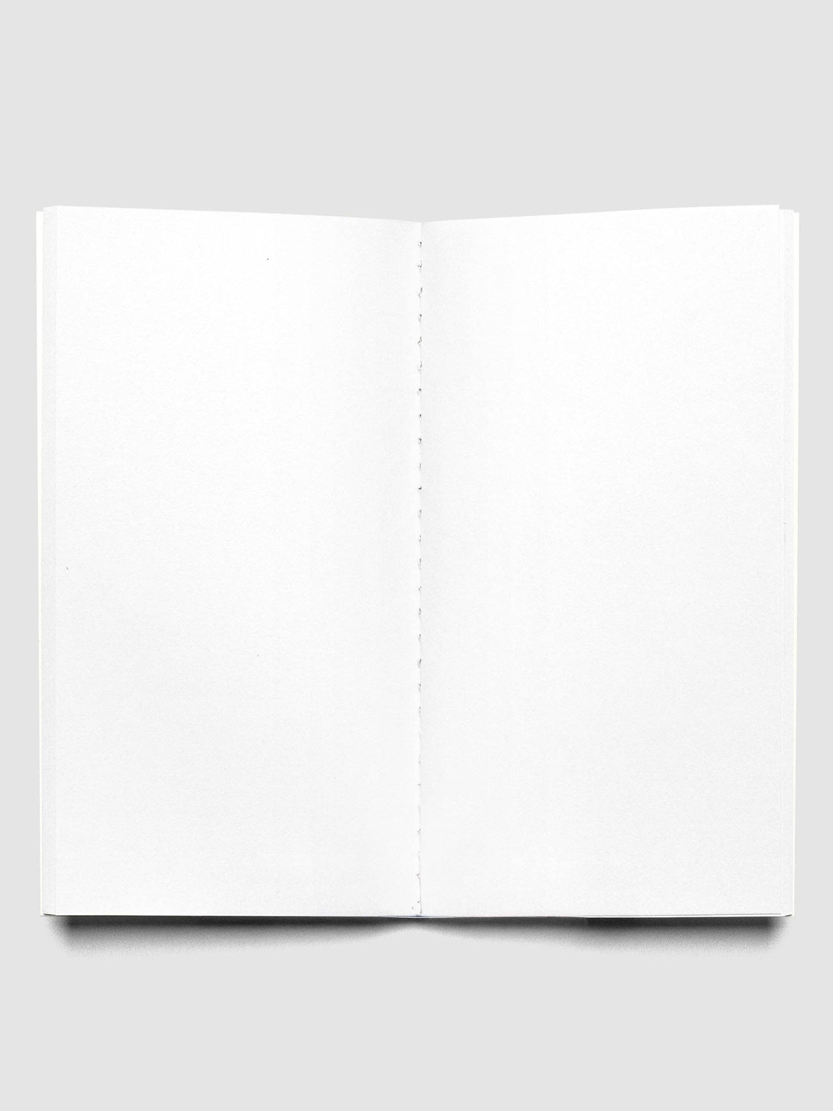 Travel Notebook | Pocket Plus: Daily Agenda | Aspen