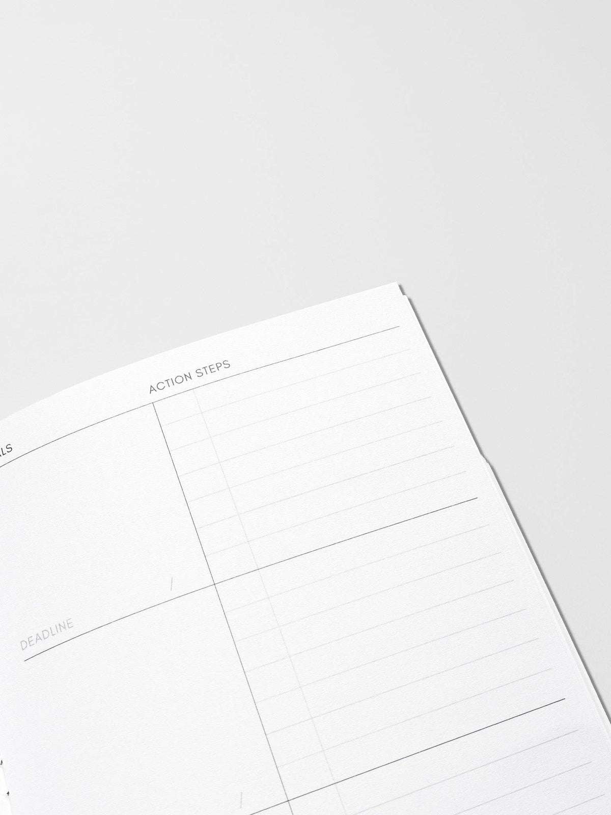 Travel Notebook | Pocket Plus: Daily Wellness | Smoked Salt