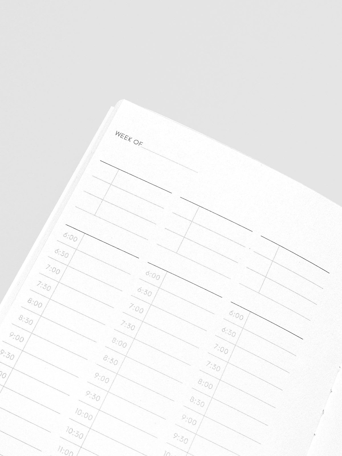 Travel Notebook | Pocket Plus: Daily Wellness | Smoked Salt