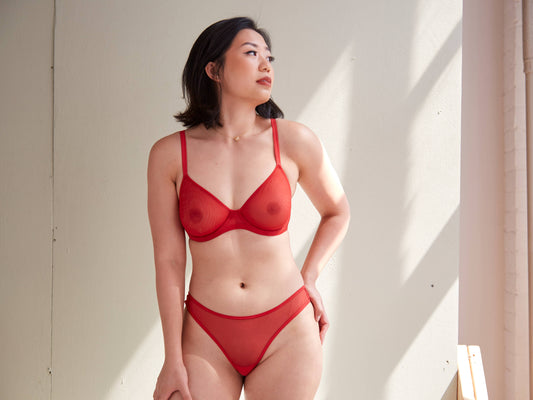 5 Color Sheer Mesh Thong: Red
